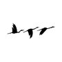Wallity Migrant Birds - 291 Escultura de pared metálica Negra